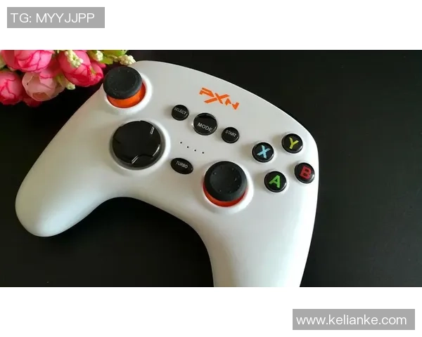 王者荣耀深度解析LNG战队盯防策略与战术布局探秘